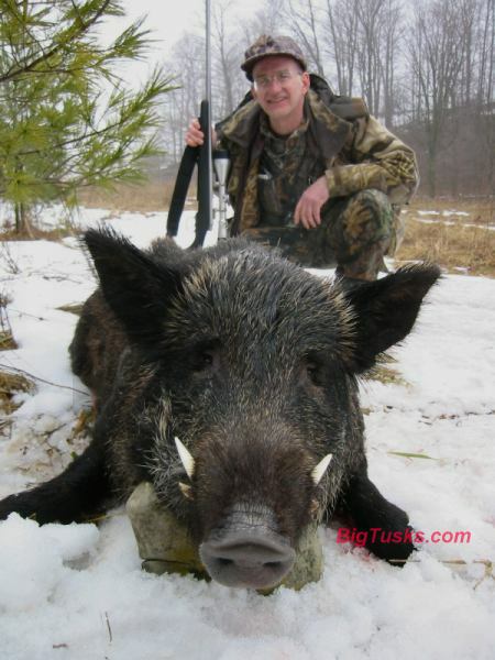 http://www.wildboar.freeservers.com/a-images/Barry40102_1sf.jpg